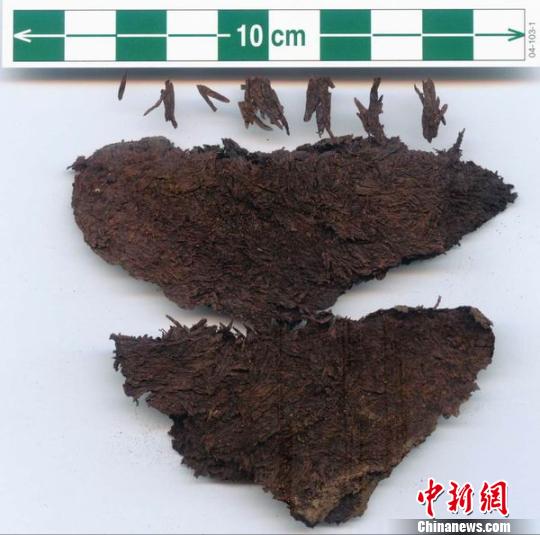 陕西出土茶叶被吉尼斯世界纪录认证为最古老茶叶