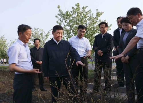 新华社照片，哈尔滨，2016年5月25日
    习近平在黑龙江考察
    5月23日至25日，中共中央总书记、国家主席、中央军委主席习近平在黑龙江考察调研。
    这是5月23日下午，习近平在伊春友好林业局万亩蓝莓产业园察看蓝莓种植情况。
    新华社记者 兰红光 摄