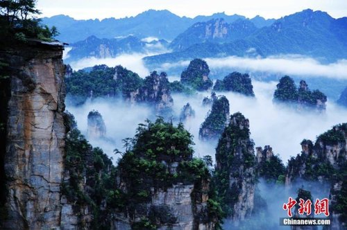 2016年5月29日，连续强降雨过后的世界自然遗产地湖南张家界核心景区武陵源天子山，飘渺无形的云海穿梭在连绵峰林间，奇美无比。