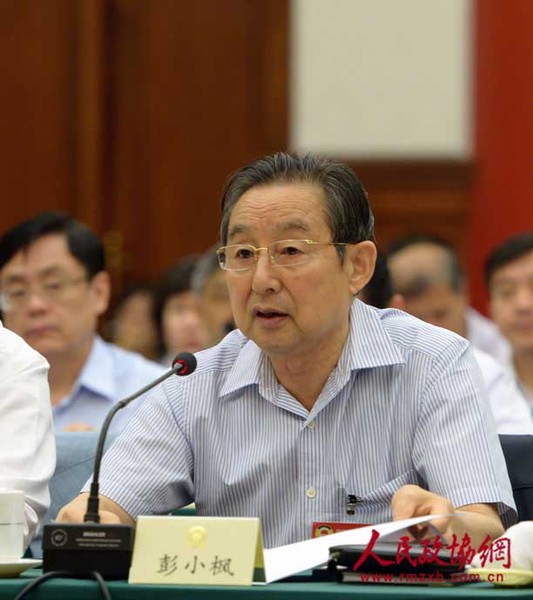 彭小枫