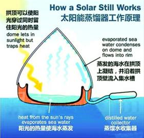 假如被困海上 该选择喝尿还是喝海水？
