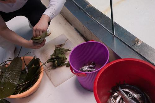 饲养员满玉忠为了让海狮过一个快乐的“端午节”，用许多鱼肉做成肉馅，包在粽子叶里。