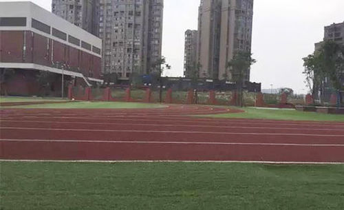 成都教科院附小的操场跑道，多位到过学校的家长反映，跑道和教室均有刺鼻的味道。