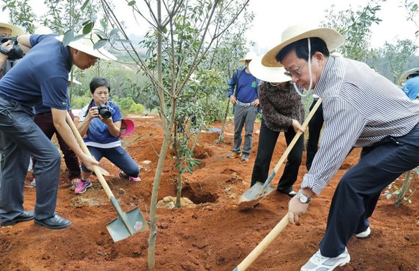 省市两级政协 呈贡义务植树