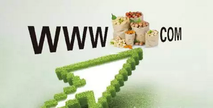 农村电商