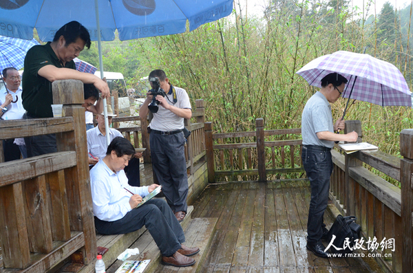 委员们在冒雨写生
