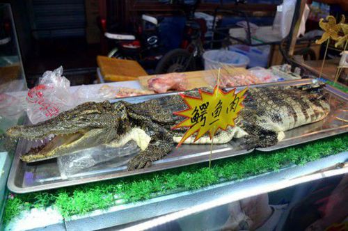 沈阳现鳄鱼肉烤串 20元一串引市民围观