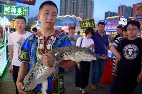 沈阳现鳄鱼肉烤串 20元一串引市民围观
