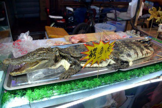 沈阳现鳄鱼肉烤串 20元一串引市民围观