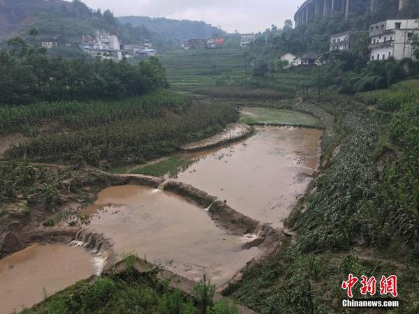 四川叙永遭遇58年来最大洪水 3