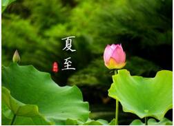 今日夏至 夏至之后日常养生有何妙招？
