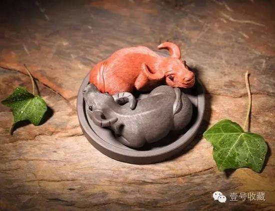 扭转乾坤茶宠