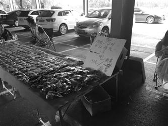 　　鲁园古玩城内一个卖核桃和金刚的摊位上立着“150元两件甩货”的牌子。摊主面露难色地　告诉记者，甩货的是去年剩的金刚和核桃，当时都是卖三四百元的东西。辽沈晚报、聊沈客户端记者　谭珊珊　摄