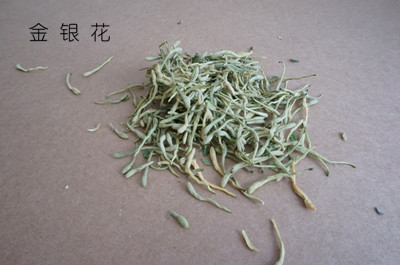 驱蚊八宝：夏季怎样让蚊子自觉远离你？