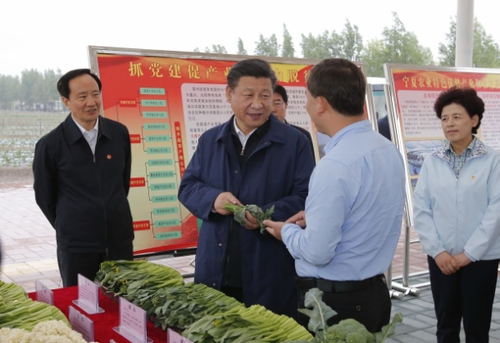 新华社照片，银川，2016年7月20日
    习近平在宁夏调研考察
    7月18日至20日，中共中央总书记、国家主席、中央军委主席习近平在宁夏调研考察。这是7月18日下午，习近平在固原市原州区彭堡镇姚磨村了解冷凉蔬菜种植销售情况。
    新华社记者鞠鹏摄