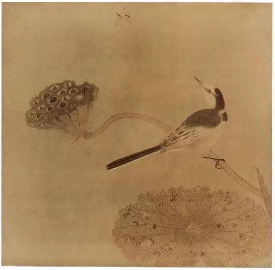《疏荷沙鸟图页》 宋，绢本设色，纵25cm，横25.6cm