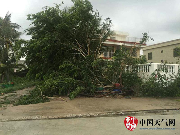 台风“银河”袭海南海陆交通受阻 风雨明天结束