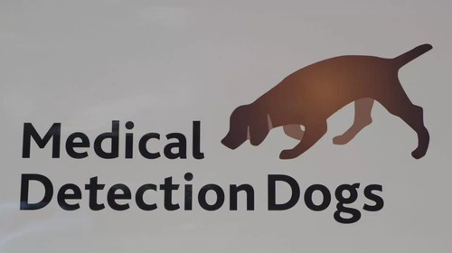 黛西的主人克莱尔-盖斯特博士是“医疗侦测犬”（Medical Detection Dogs）组织的主管，该组织是进行犬类助诊疾病研究的慈善团体，其研究具有十分宝贵的医学价值。