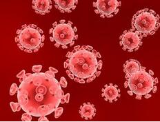 根治HIV等病毒感染 我国科学家取得突破