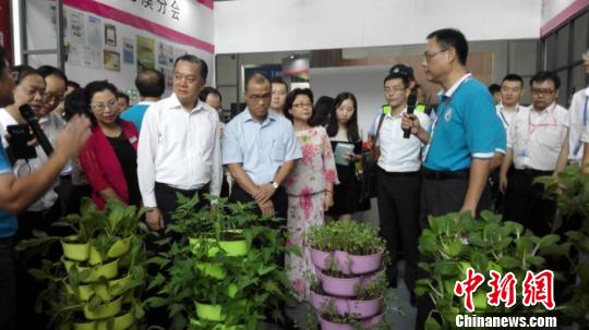 图为台湾精致农业技术展区。康孝娟 摄