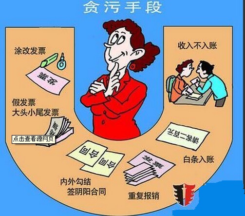 女财会为美容贪千万3