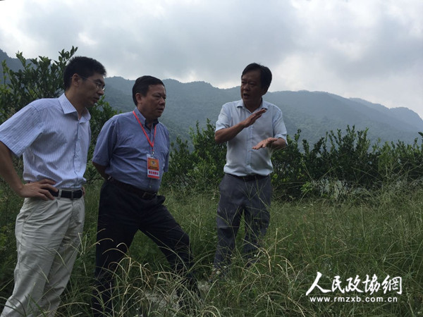 福建省南安市政协建言南台经济合作项目