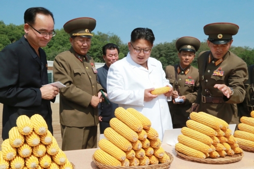 金正恩察看农作物试点栽培田和温室等，具体了解了育种情况。金正恩对农场新培育出的适合朝鲜气候土壤条件、产量高的玉米品种表示满意。金正恩就农场的今后工作作出指示，并为新品种玉米命名“平玉9”号。