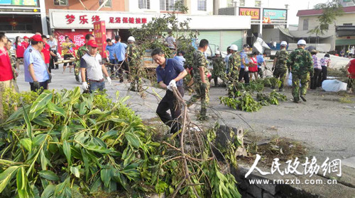 在抢险救灾现场，海沧区政协机关党员、干部与群众协力扶绿、清障、打扫。2
