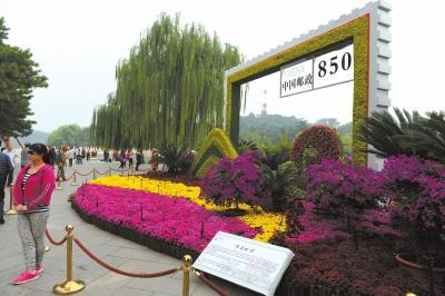 图片默认标题