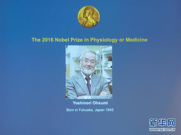 10月3日，在瑞典斯德哥尔摩，获得2016年诺贝尔生理学或医学奖的日本科学家大隅良典的肖像在新闻发布会上展示。瑞典卡罗琳医学院3日宣布，日本科学家大隅良典获得2016年诺贝尔生理学或医学奖，以表彰他在细胞自噬机制研究中取得的成就。新华社发（石天晟摄）