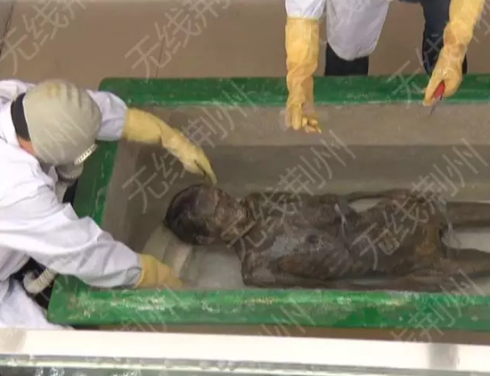 湖北古墓现500年前女尸