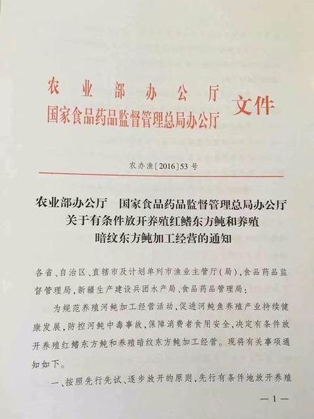 你敢吃吗？首批养殖河豚预计11月底拥有市场流通资质