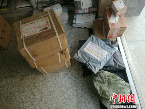 资料图 <a target='_blank' href='http://www.chinanews.com/' >中新网</a>记者 张尼 摄
