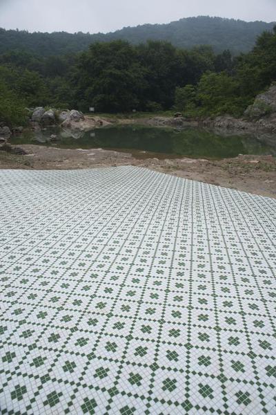 王卫，山中自然史四，地面马赛克，2016