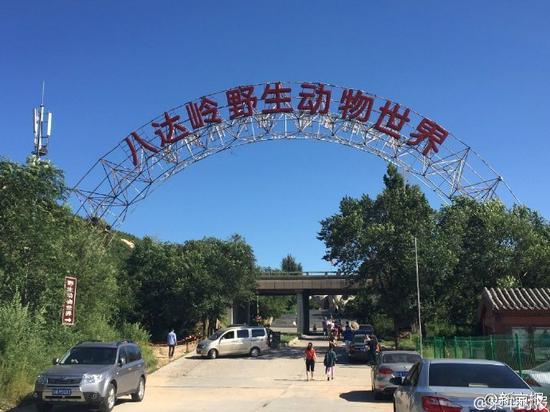 遭虎袭女游客索赔154万