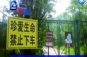 遭虎袭女游客索赔154万4