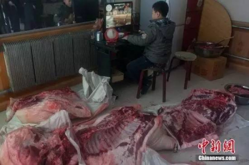 资料图