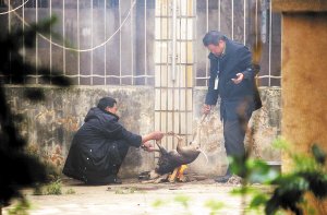 男子当街生火烤狗