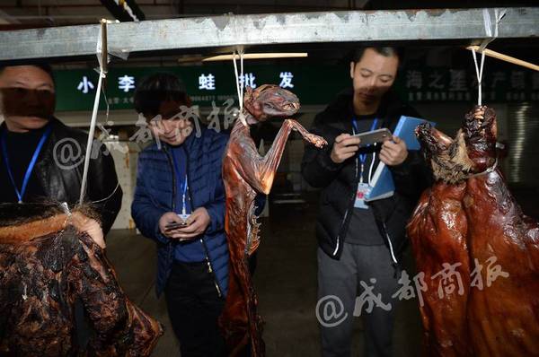 将猫肉当兔肉卖上餐桌