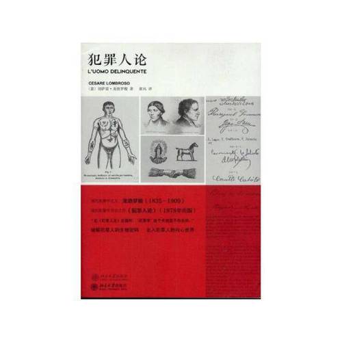 上海交大教授训练机器看脸分辨罪犯:准确率86%以上