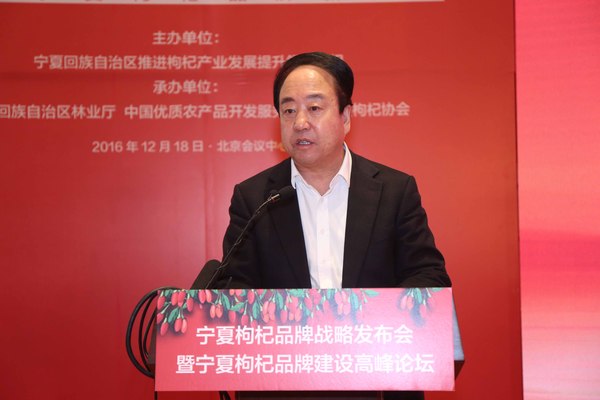 宁夏回族自治区区委常委、政府副主席李锐发言