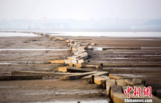 　　“千眼桥”位于鄱阳湖都昌县多宝乡至庐山市的湖床上，曾经是两地民众冬季便捷往来的要道，远处依稀可见城市的轮廓。12月23日摄 傅建斌 摄