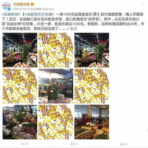情人节进口玫瑰炒到1500元一束 国产玫瑰差在哪？