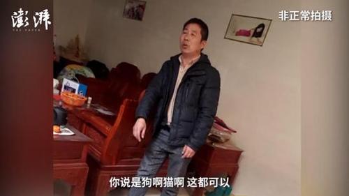 广西穿山甲地下交易仍猖獗 两只卖上万元