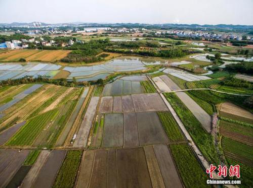 图为航拍广西柳州市柳北区沙塘镇耕地，五彩缤纷。 黄威铭 摄