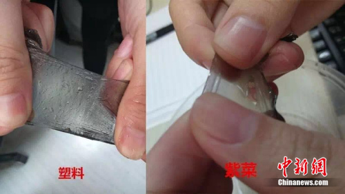 真紫菜泡水后吸收水分，光滑，而塑料薄膜不吸水，不光滑。制图：<a target='_blank' href='http://www.chinanews.com/' >中新网</a> 邱宇