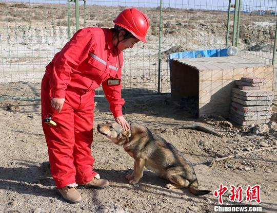 图为肖艳红空闲时会和她养的狗逗趣。　耿丹丹 摄