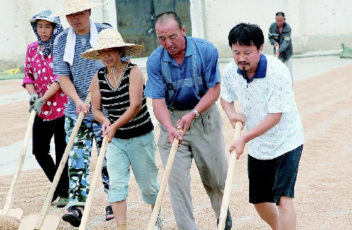     董配永（前右一）在自己的农场与农民一起晾麦子