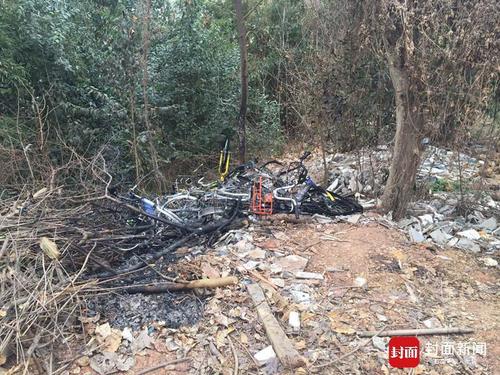 华西都市报-封面新闻讯（记者 李逢春 李天宇）2月26日，10多辆共享单车在成都锦江区三圣乡一个停车场被人纵火烧毁，本报第一时间报道，并根据采访对象描述，指出最大嫌疑可能是被冲击生意的三圣景区一些自行车租赁老板。