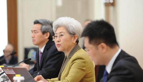 大会发言人傅莹